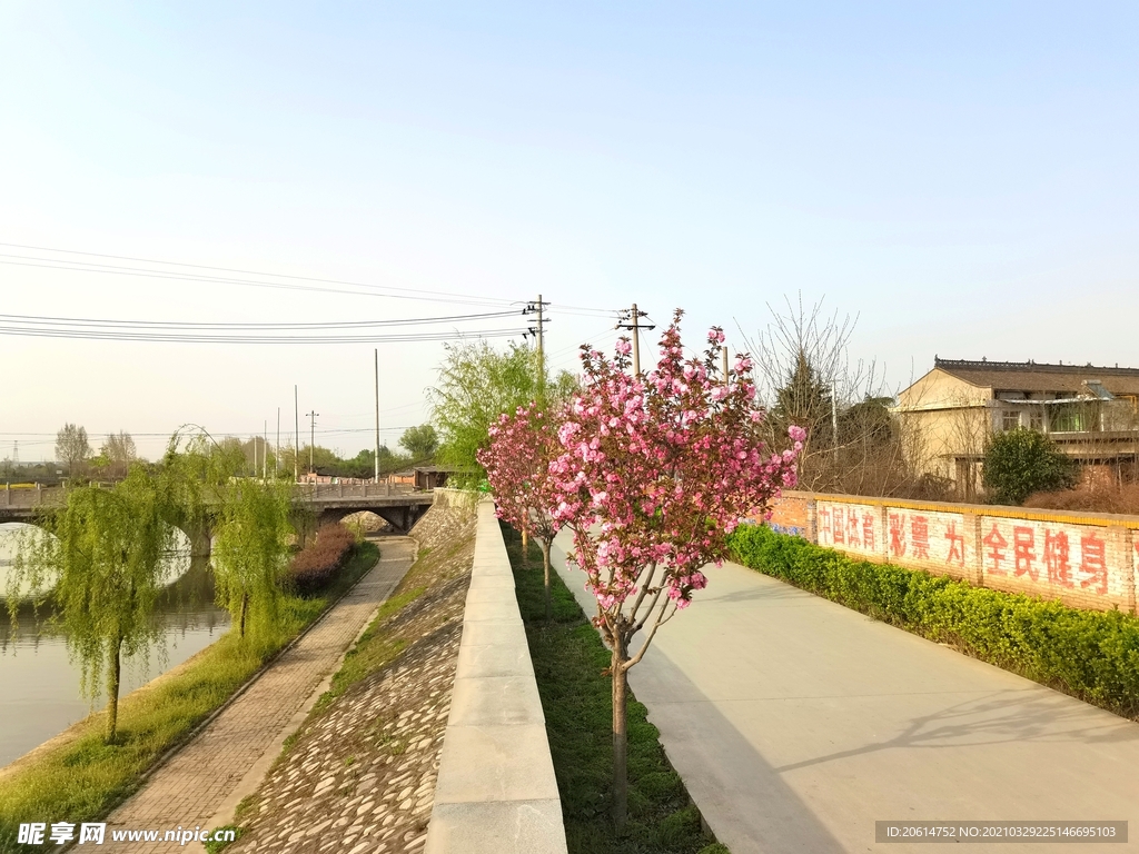 城市道路风景