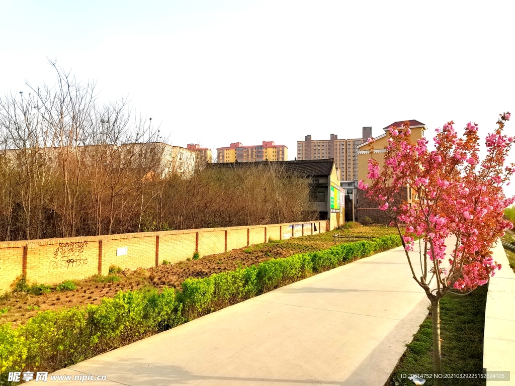 城市道路风景