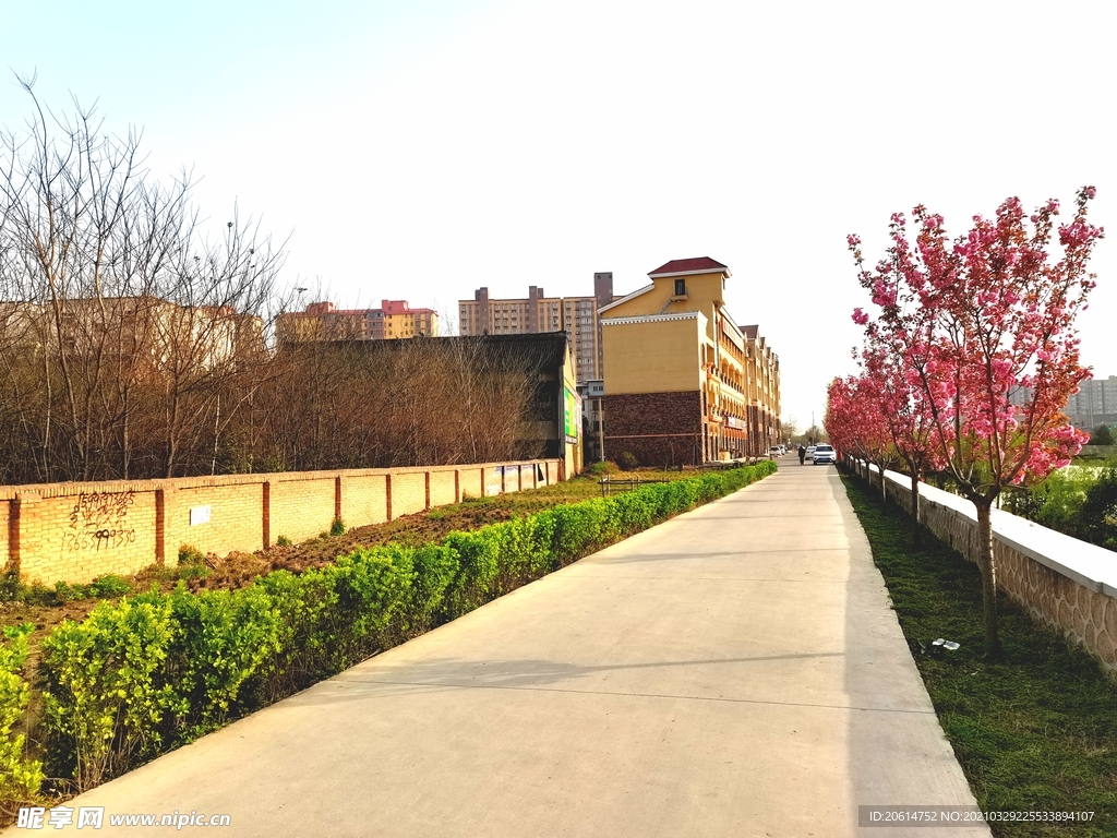 城市道路风景