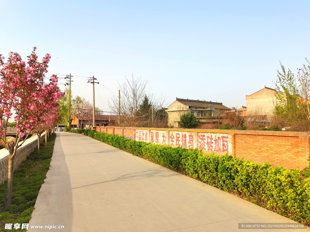 城市道路风景