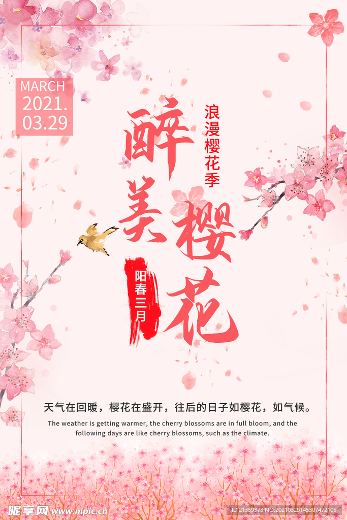 三月春天醉美樱花节唯美粉色浪漫