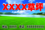 草坪