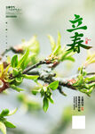 立春
