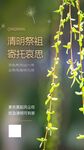清新简洁中国风清明摄影图海报