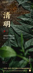 地产清明节