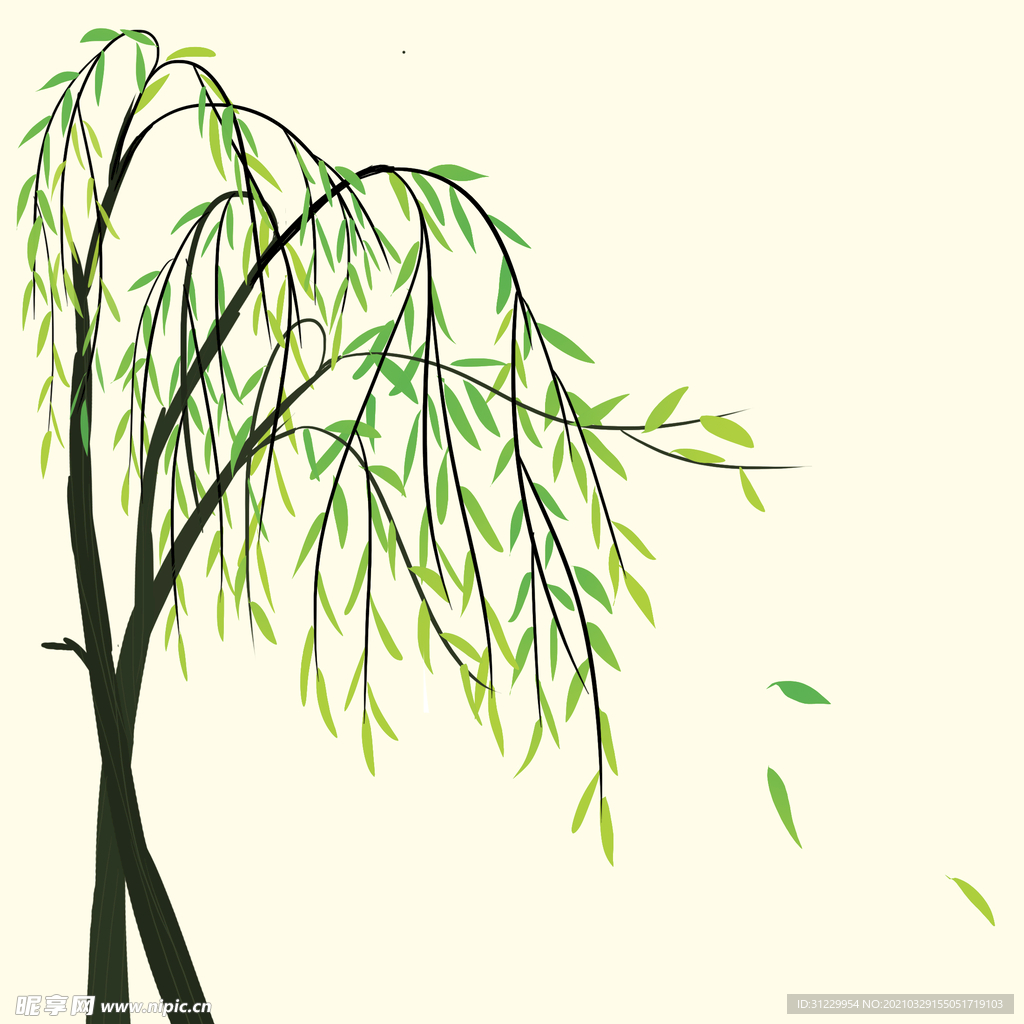 柳树
