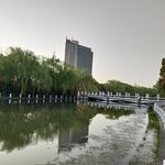 图书馆夕阳垂柳