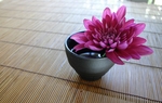 茶