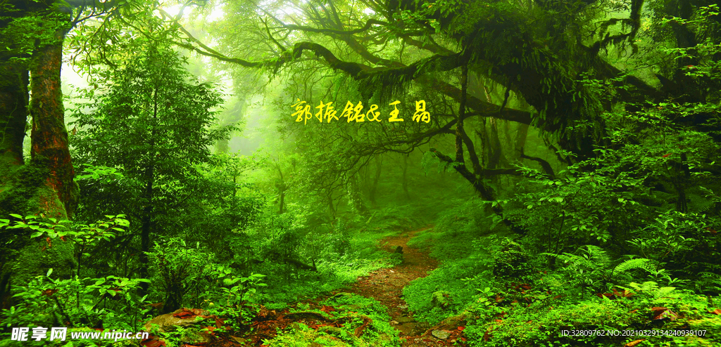 丛林婚礼背景小清新