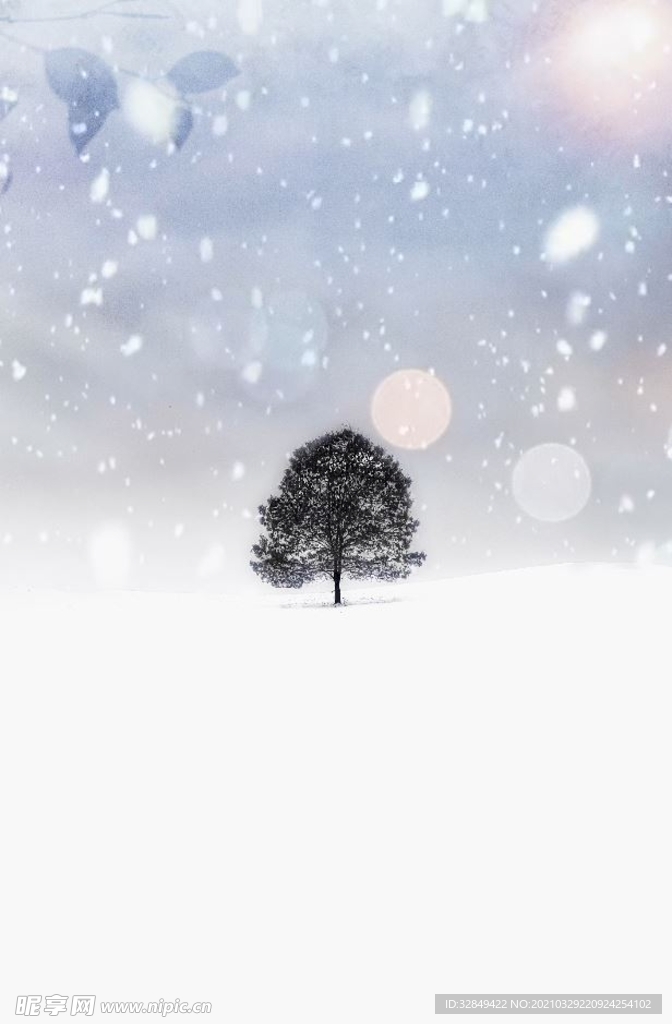冰天雪地大雪纷飞中的一棵树循环