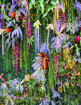 园林鲜花种植装饰墙