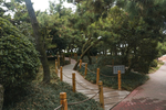 海边小路