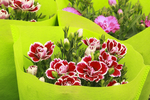鲜花