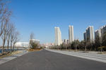 马路