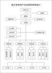 超大型房地产企业组织结构设计