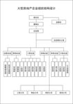 大型房地产企业组织结构设计
