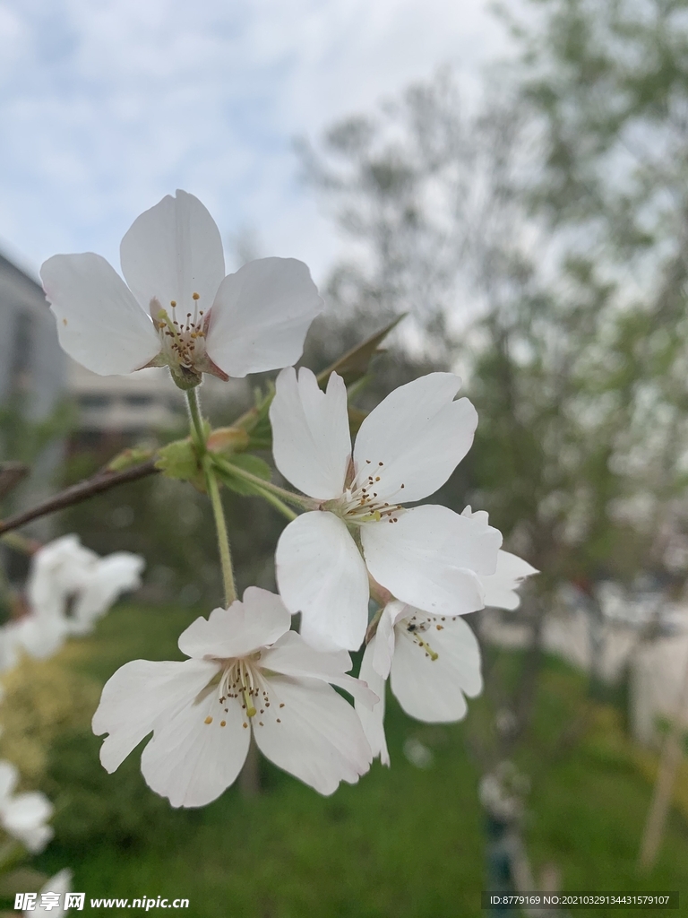 春暖花开2