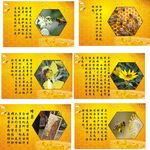 蜜蜂 平面图