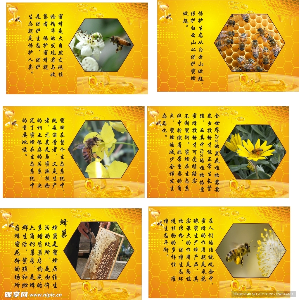 蜜蜂 平面图