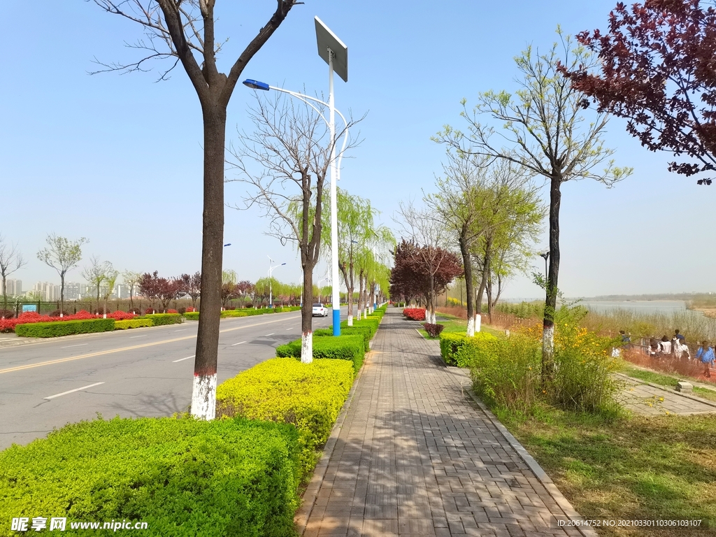 蓝天下的道路风景