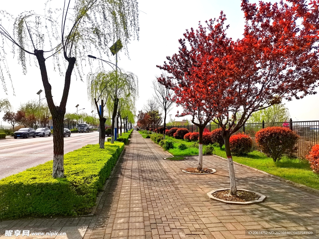 城市公园美景