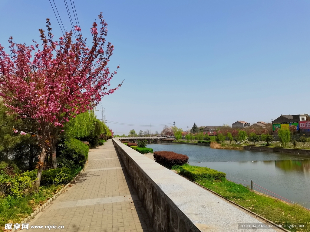 城市公园美景