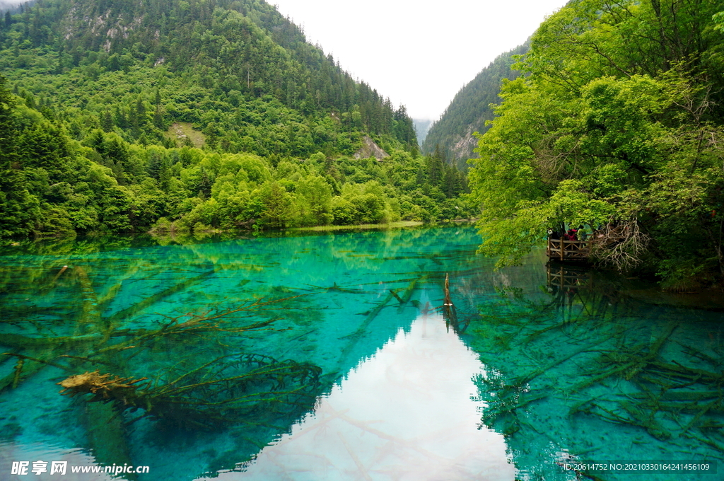 美丽的湖泊风景