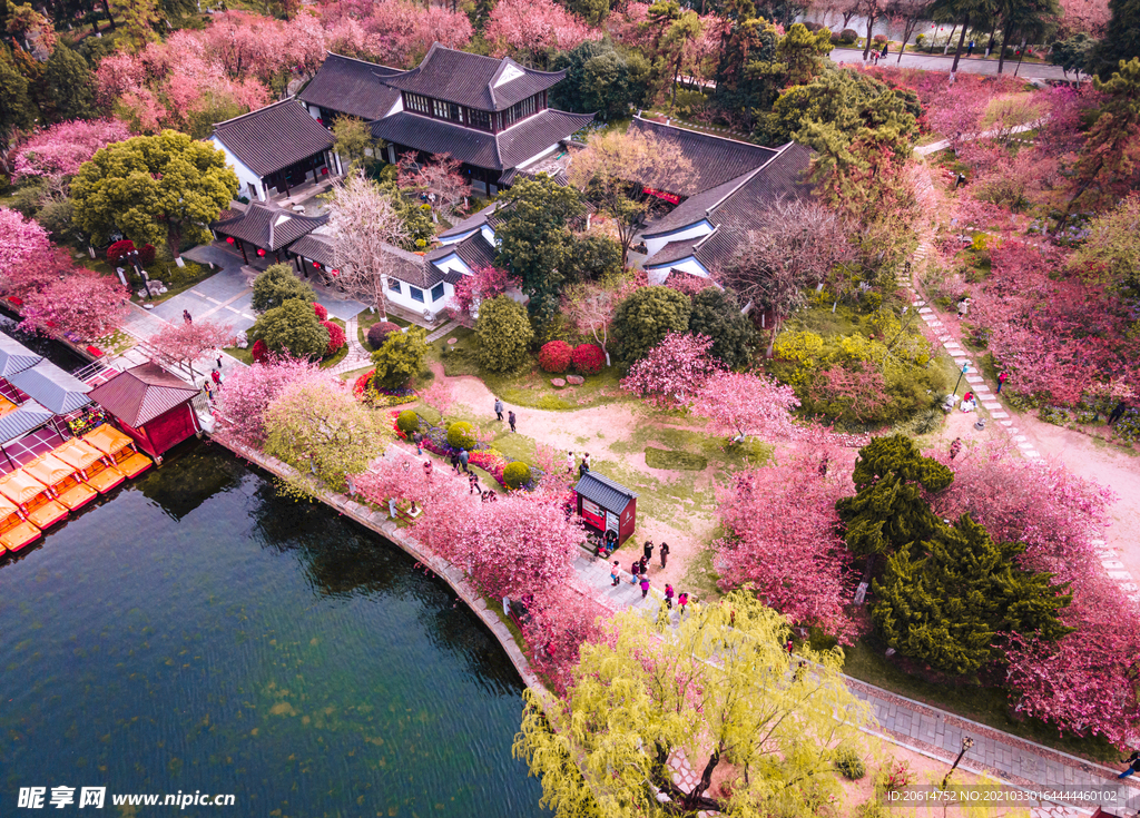 美丽的公园