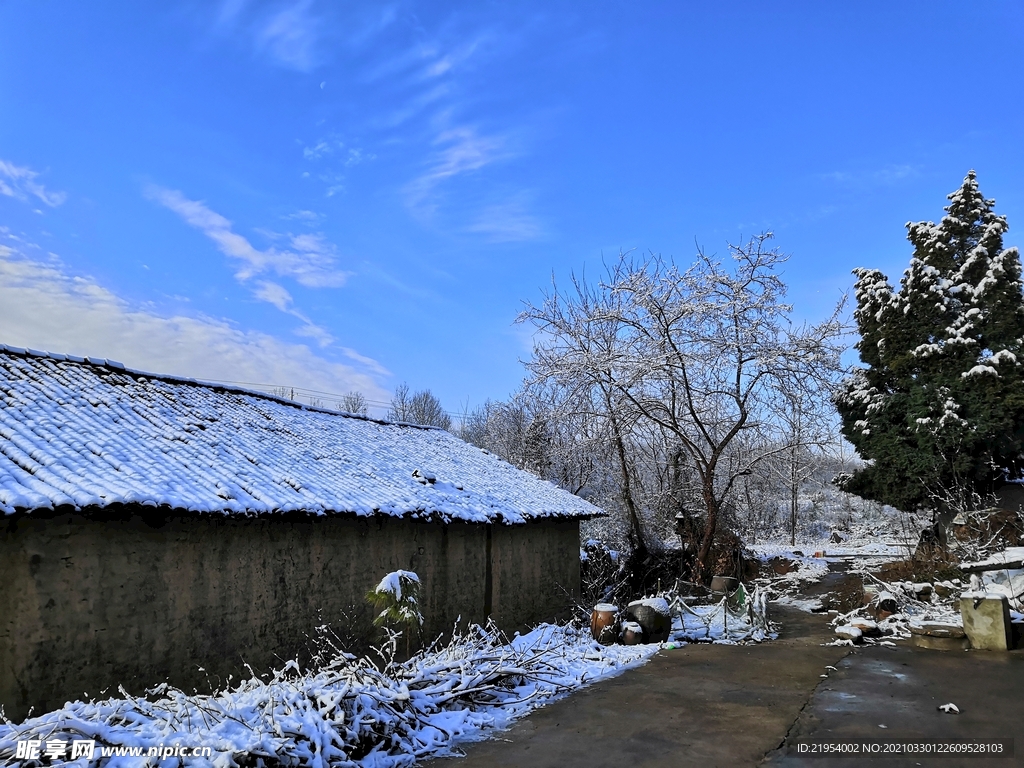 乡村雪景  蓝天白云