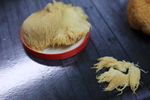 猴头菇