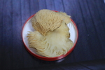 猴头菇