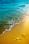 海