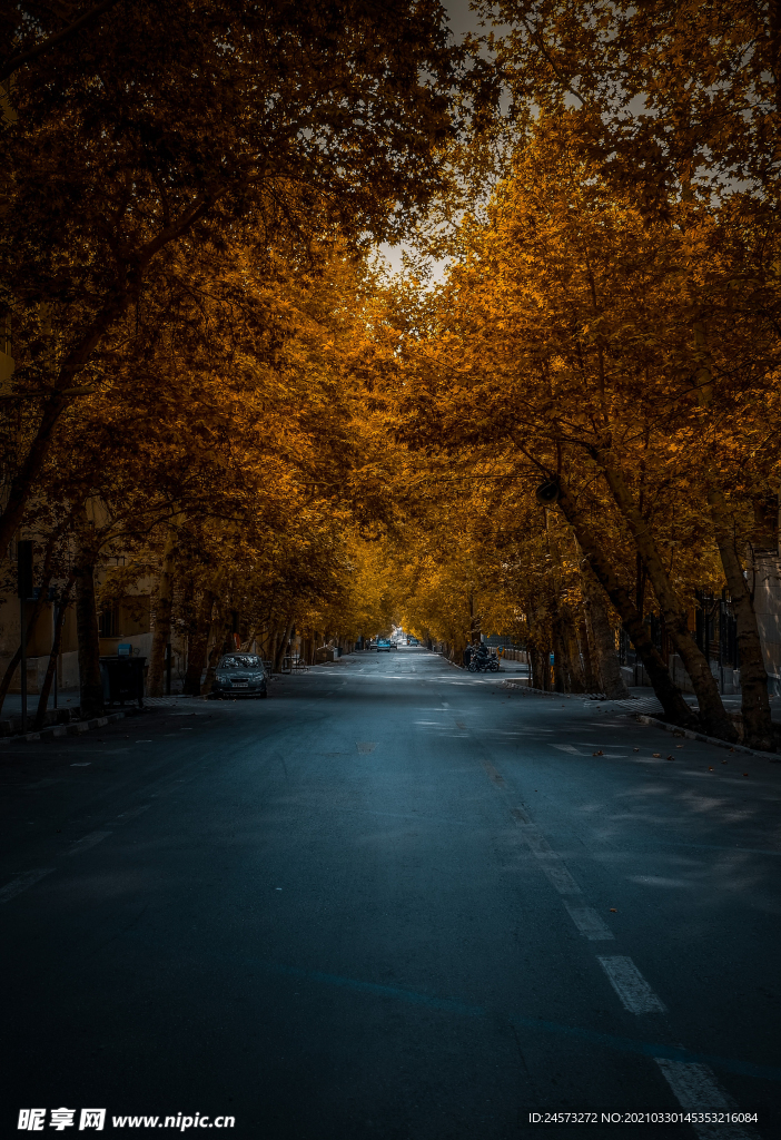 风景壁纸