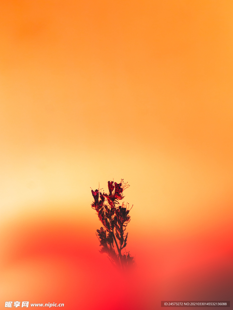 风景壁纸
