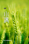 小满