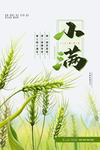 小满