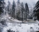 公路与雪景