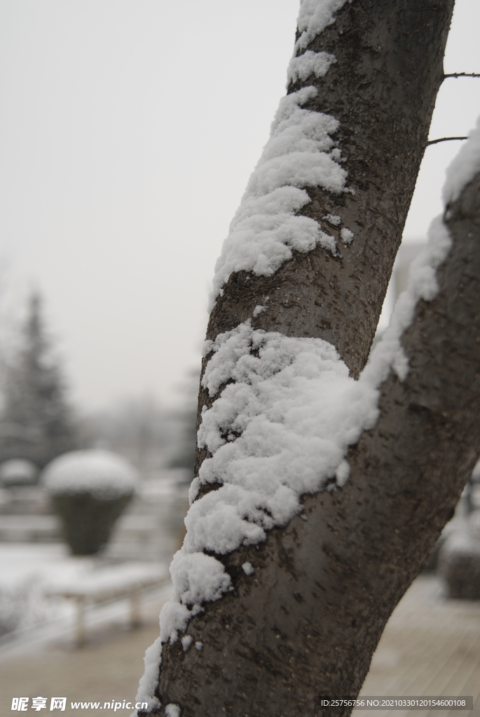 冬天雪景