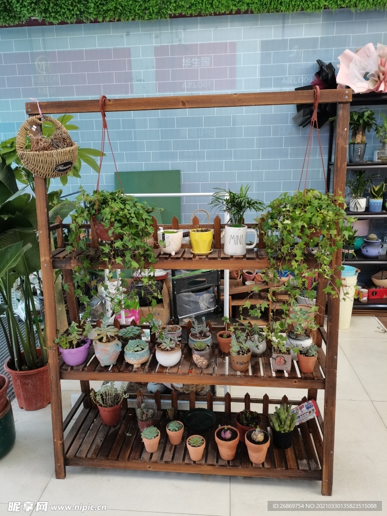 花架
