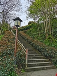公园风景