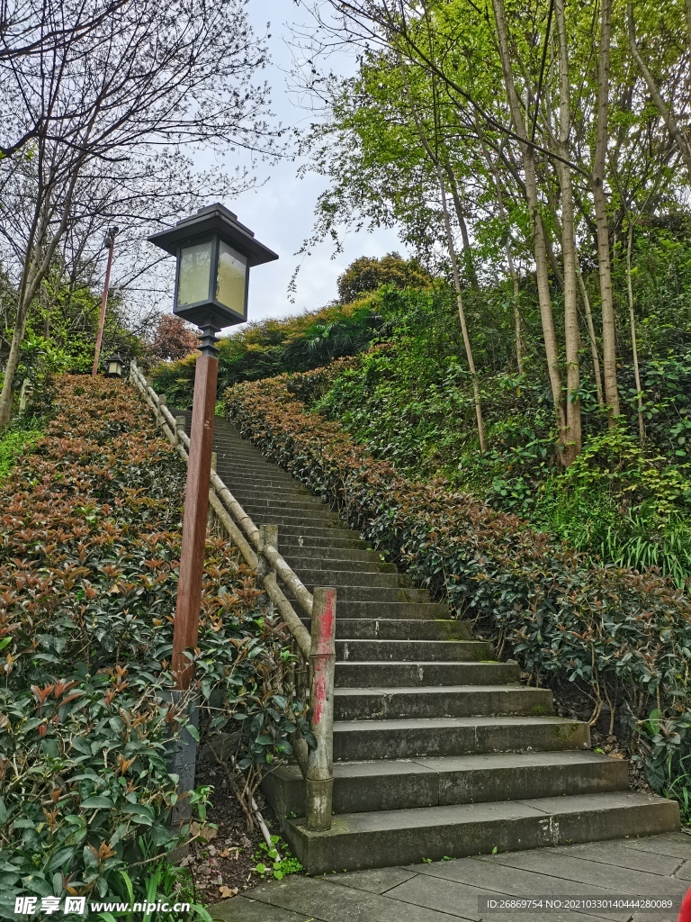 公园风景