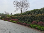 公园绿化带风景