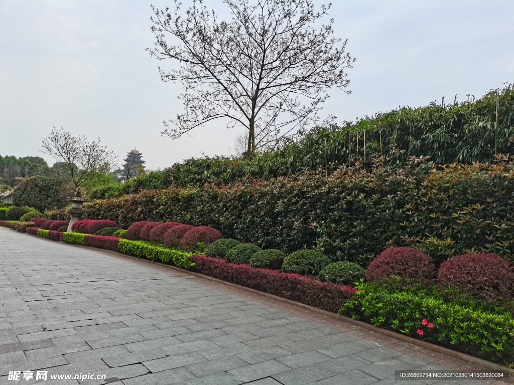 公园绿化带风景
