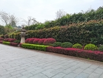公园绿化带风景