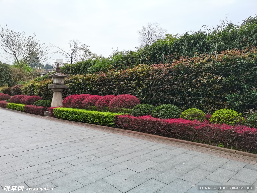 公园绿化带风景