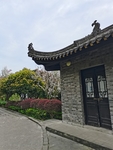 公园风景
