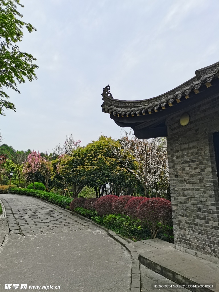 公园风景