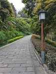 公园风景