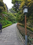 公园风景