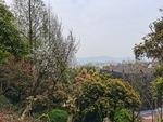 公园风景